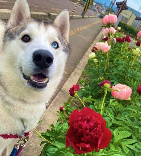 笑顔が可愛いルディくん