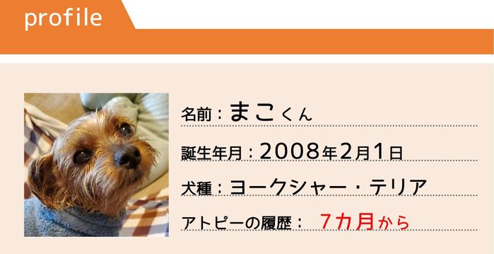 ヨークシャー・テリアのまこくん