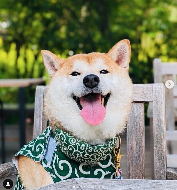 笑顔が可愛い凪丸くん