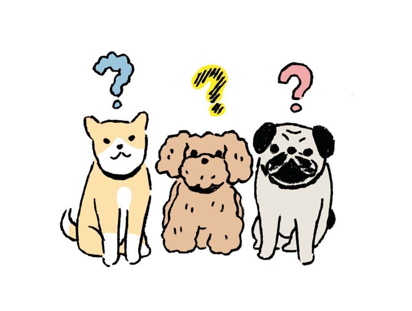 噛んだら罰としてハウスに入れるのはng よく聞くあのウワサの真偽を プロに聞いてみました いぬのきもちweb Magazine 噛んだら罰としてハウスに入れるのはng よく聞くあのウワサの真偽を プロに聞いてみました いぬのきもちweb Magazine