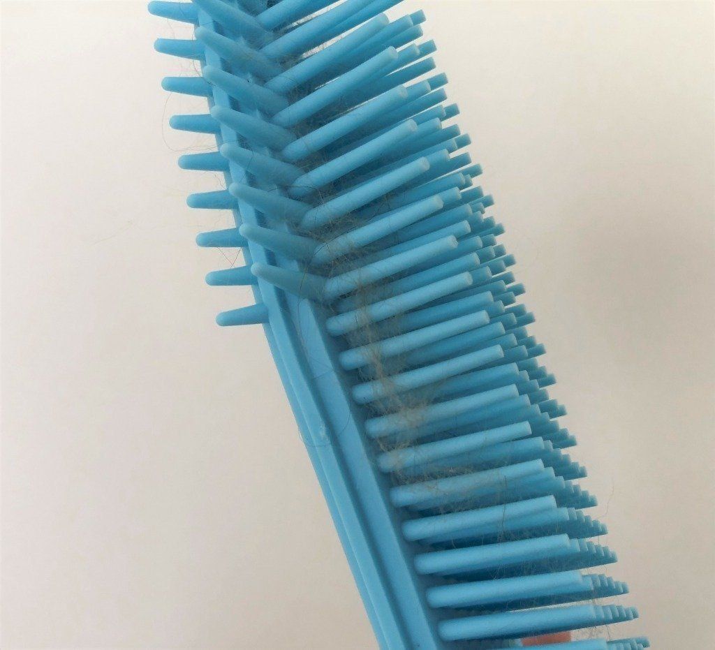 ブラシに絡まる抜け毛