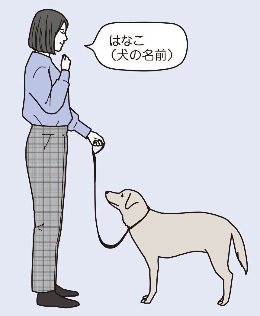 イラスト／二階堂ちはる