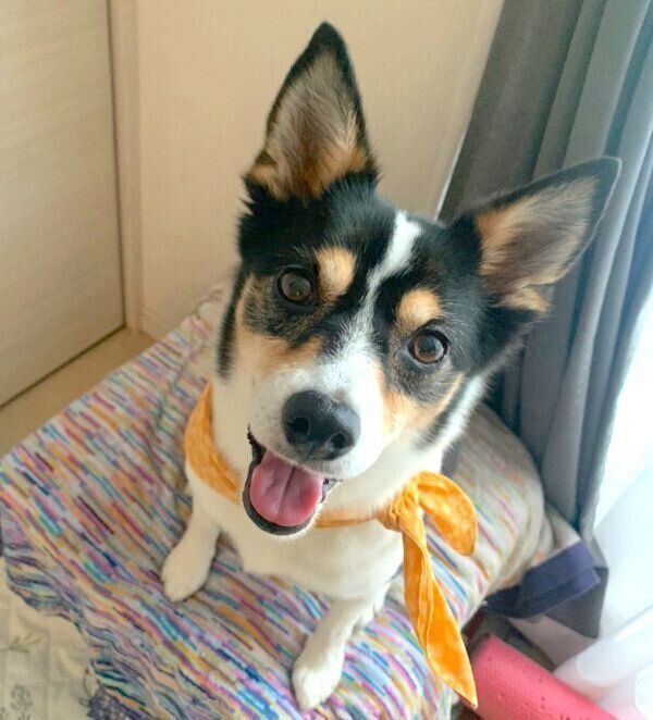 笑顔の乙女ちゃん