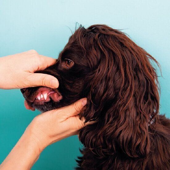 唇を一瞬引き上げる