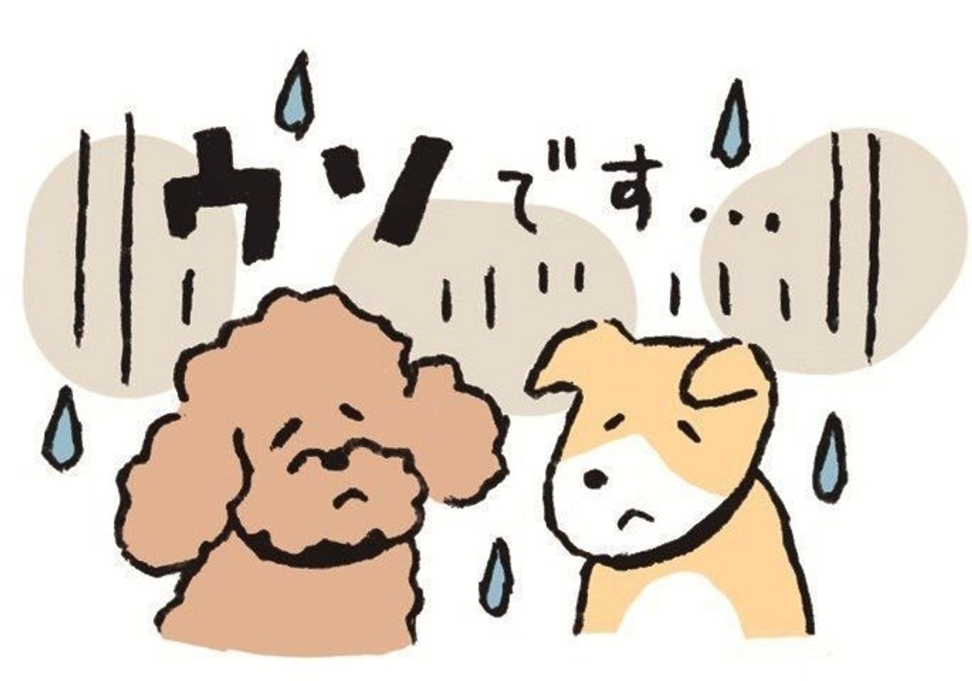 犬にとっては家族に順位がある 犬のウワサを徹底検証 いぬのきもちweb Magazine 犬にとっては家族に順位がある 犬のウワサを徹底検証 いぬのきもちweb Magazine