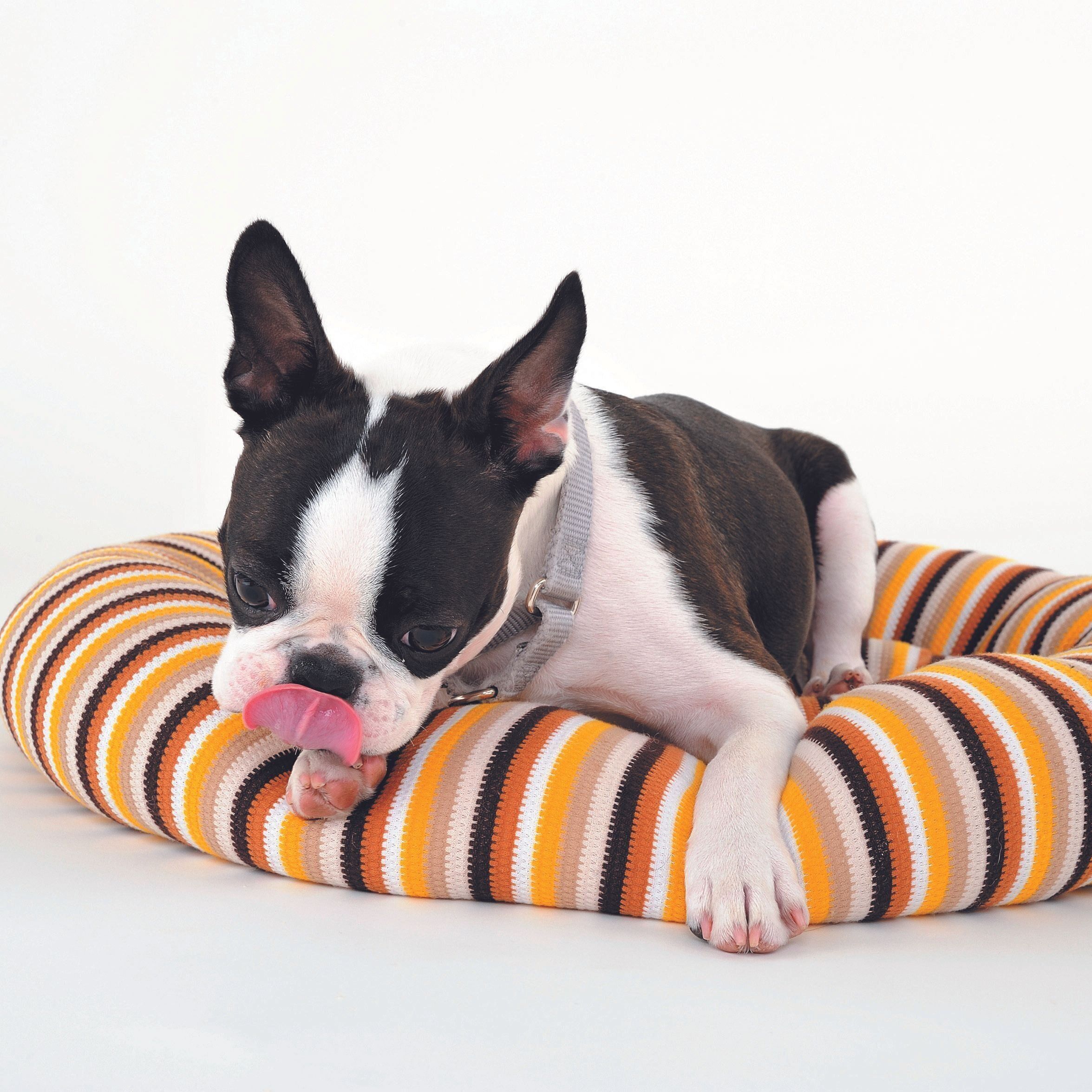 「ぼぉーーっ」