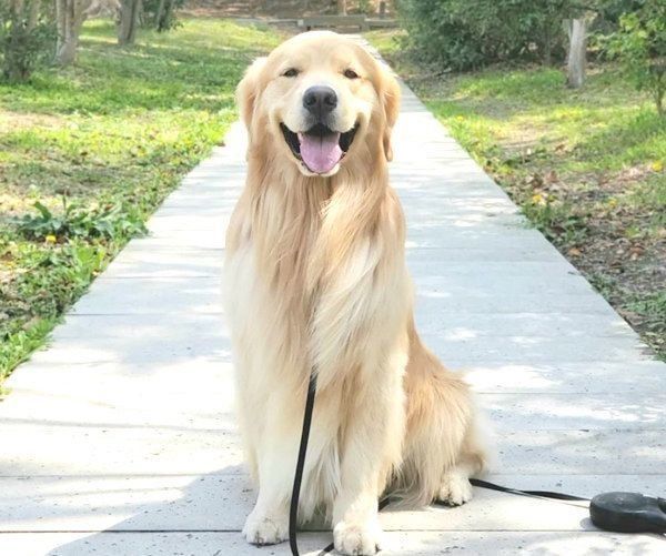 笑顔のアランくん