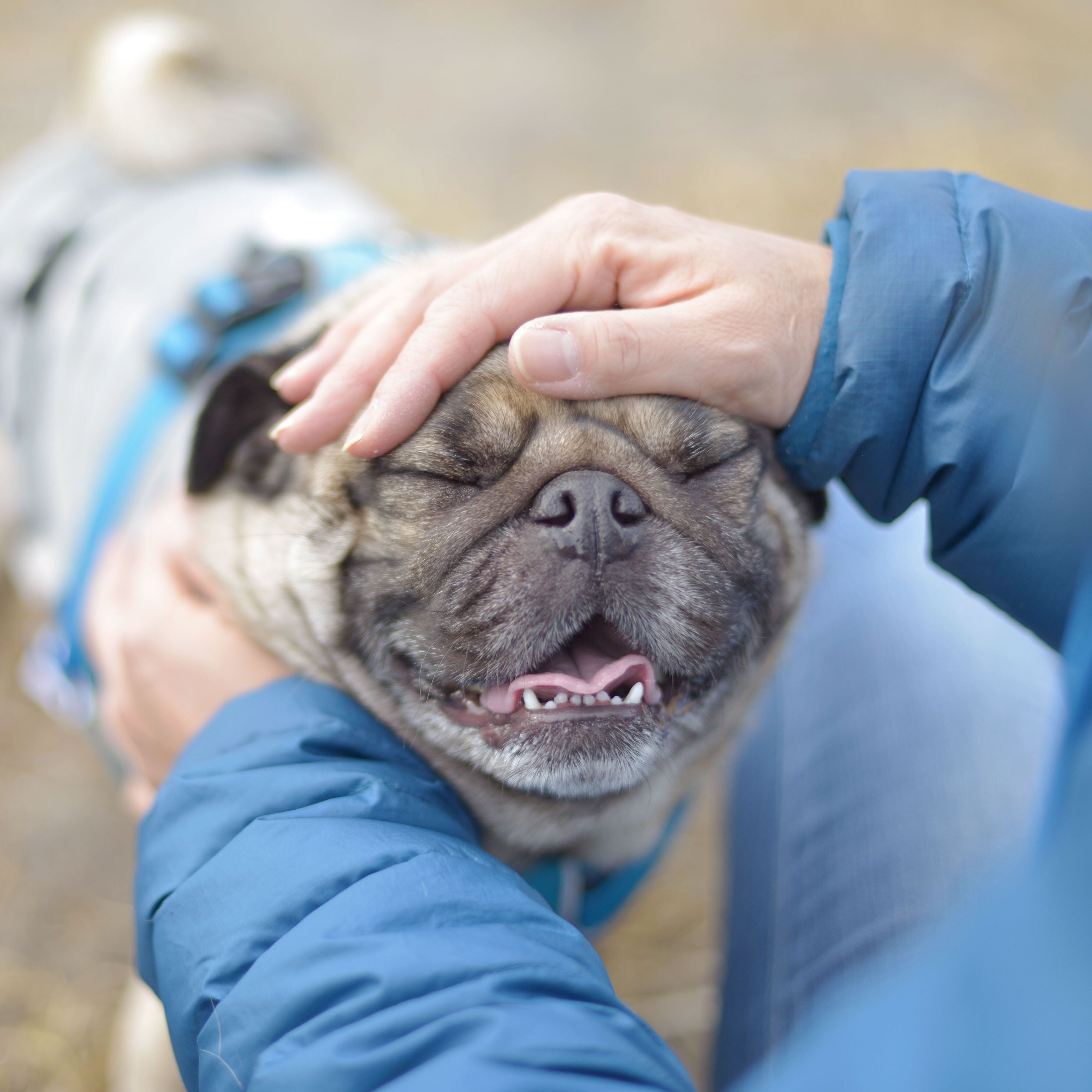 撮影／犬丸美絵