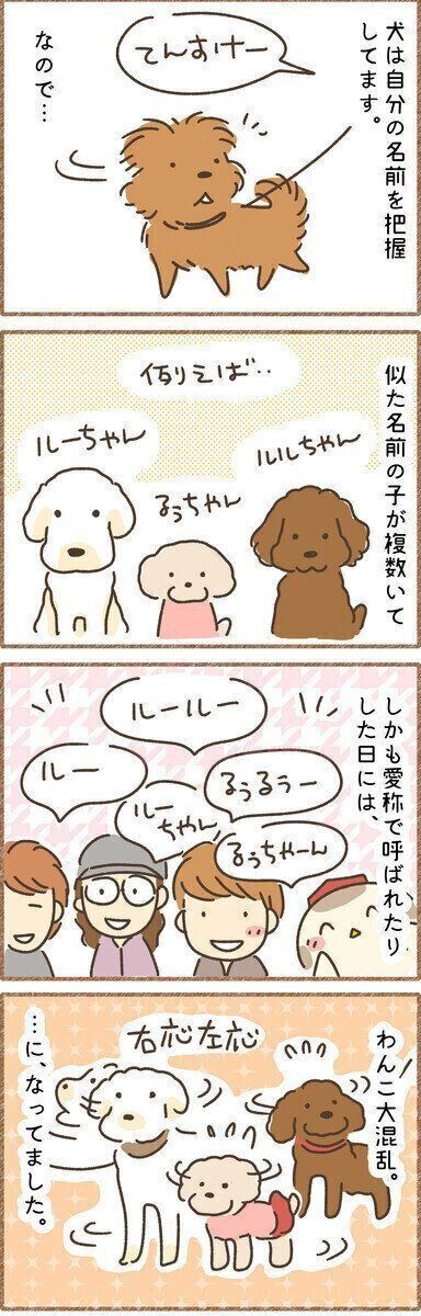 連載「こぐま犬てんすけ」