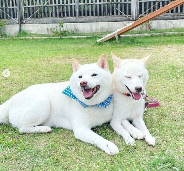 仲良しな琴ちゃんとりきまるくん