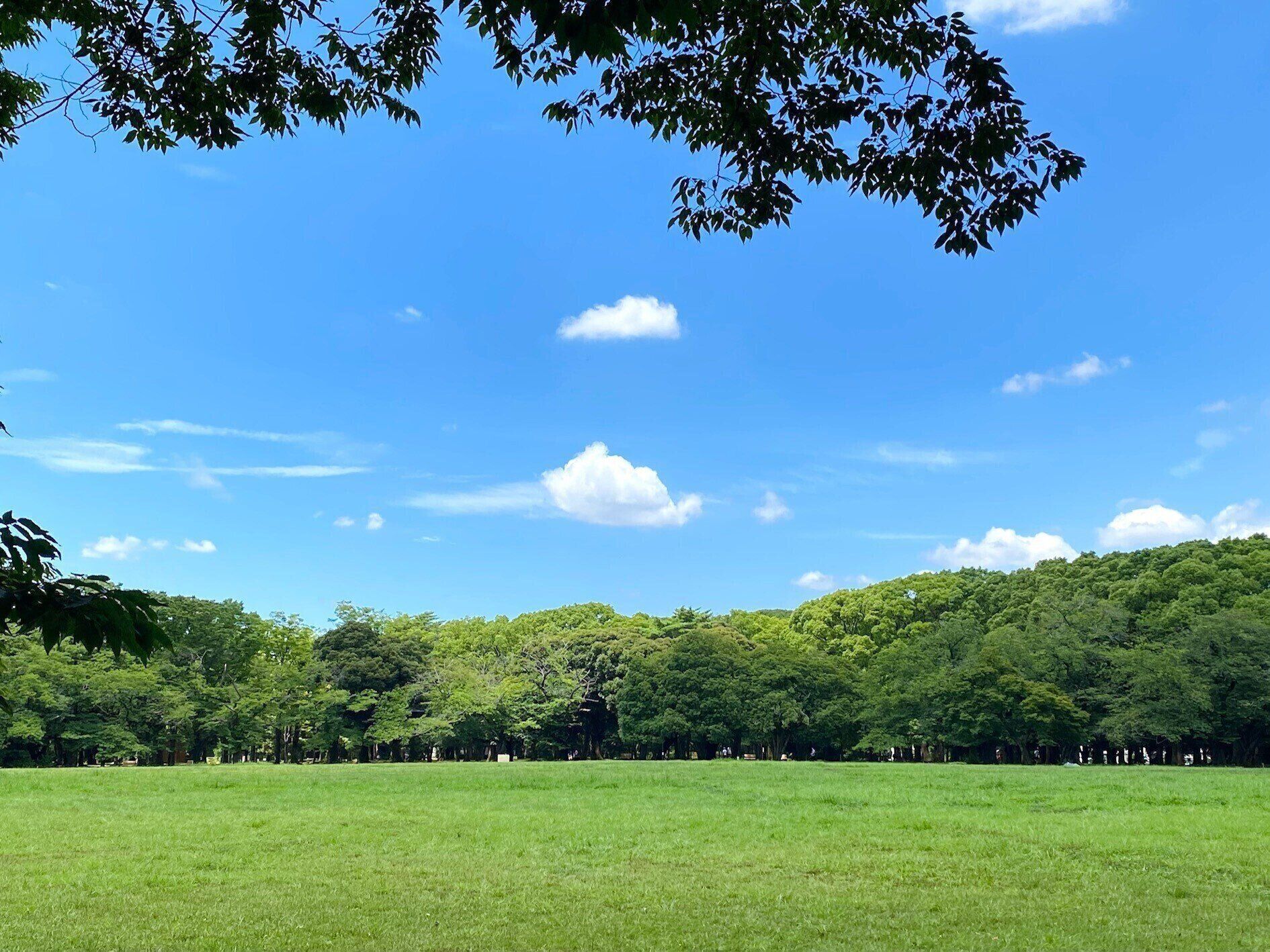 緑あふれる広大な公園