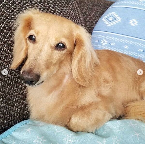 優しく見つめる伶音ちゃん