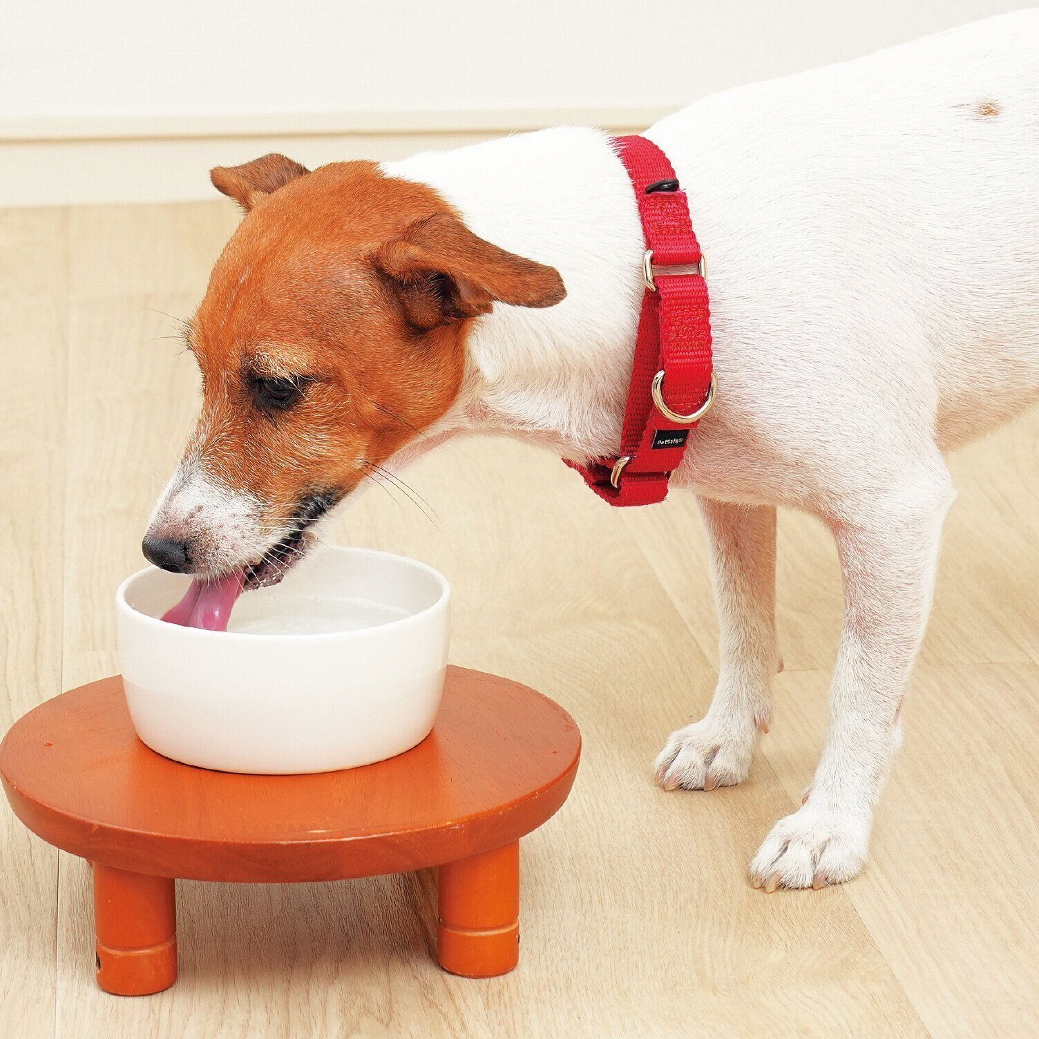 撮影／殿村忠博