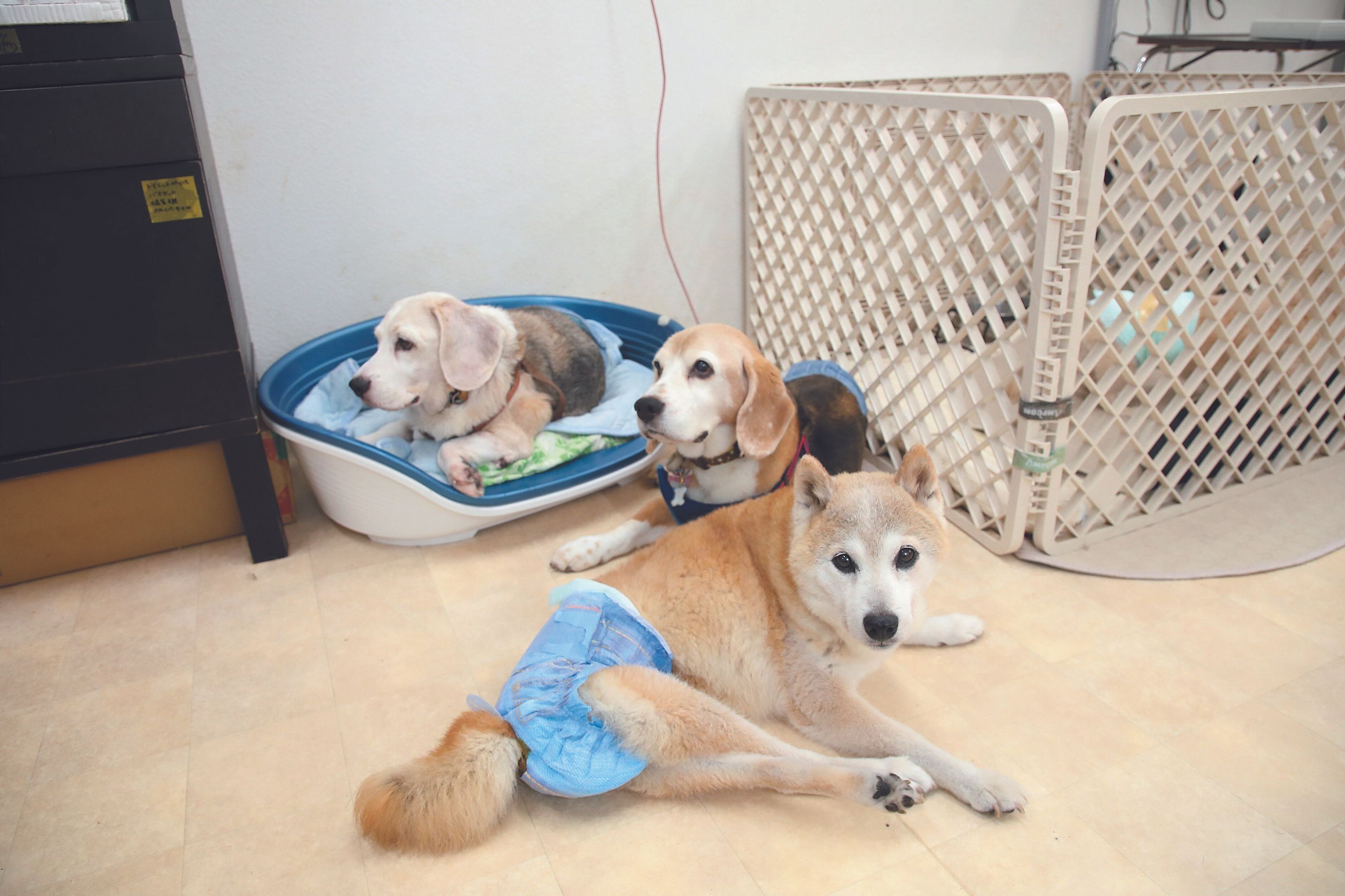 撮影／尾﨑たまき