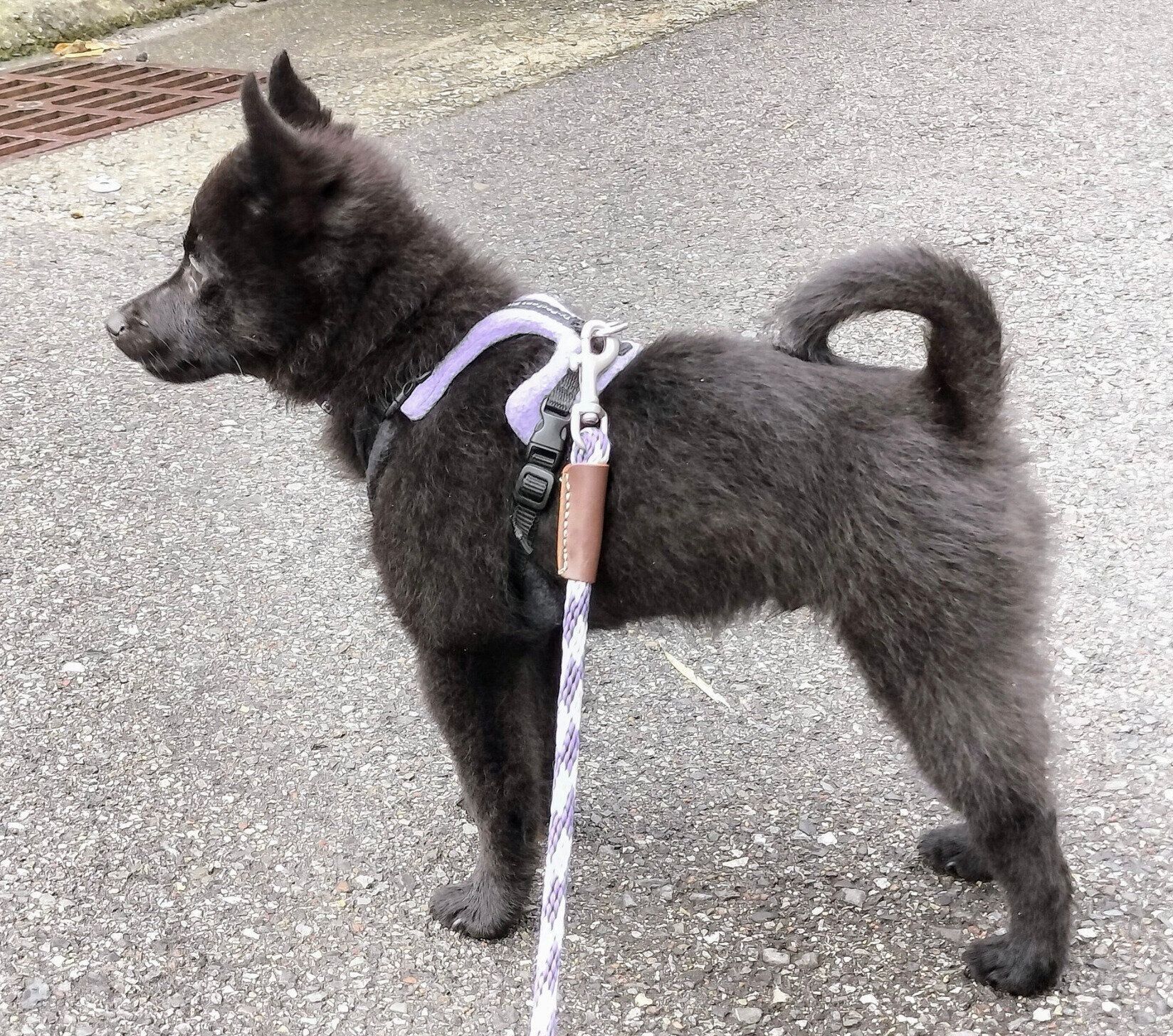 生後4カ月ごろの瑠音くん