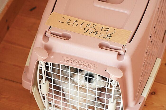 災害時に便利なガムテープ、油性ペン、カッター