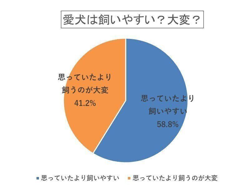 愛犬は飼いやすい？大変？