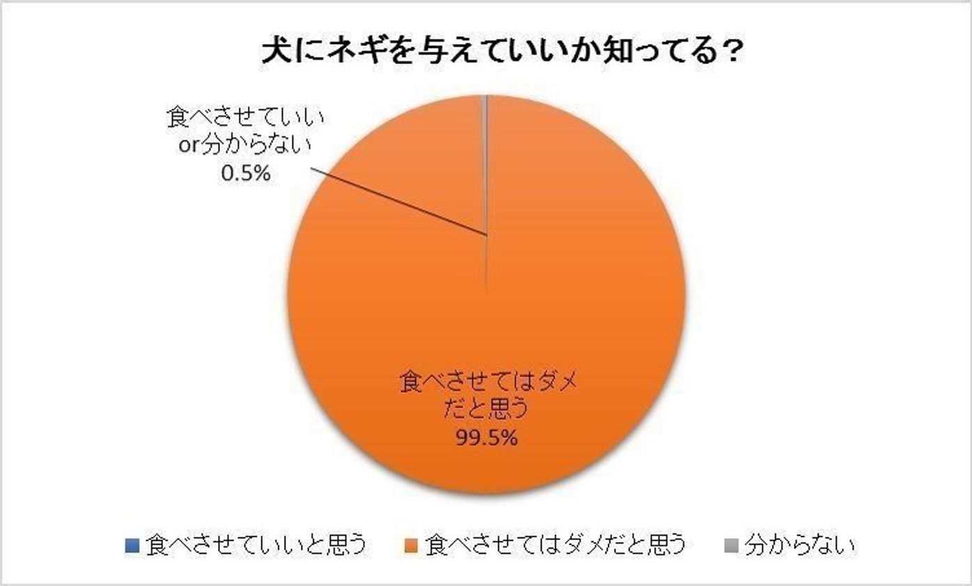 獣医師監修 犬にネギは危険 食べた時に起こる中毒症状と対処法は いぬのきもちweb Magazine 獣医師監修 犬にネギは危険 食べた時に起こる中毒症状と対処法は いぬのきもちweb Magazine
