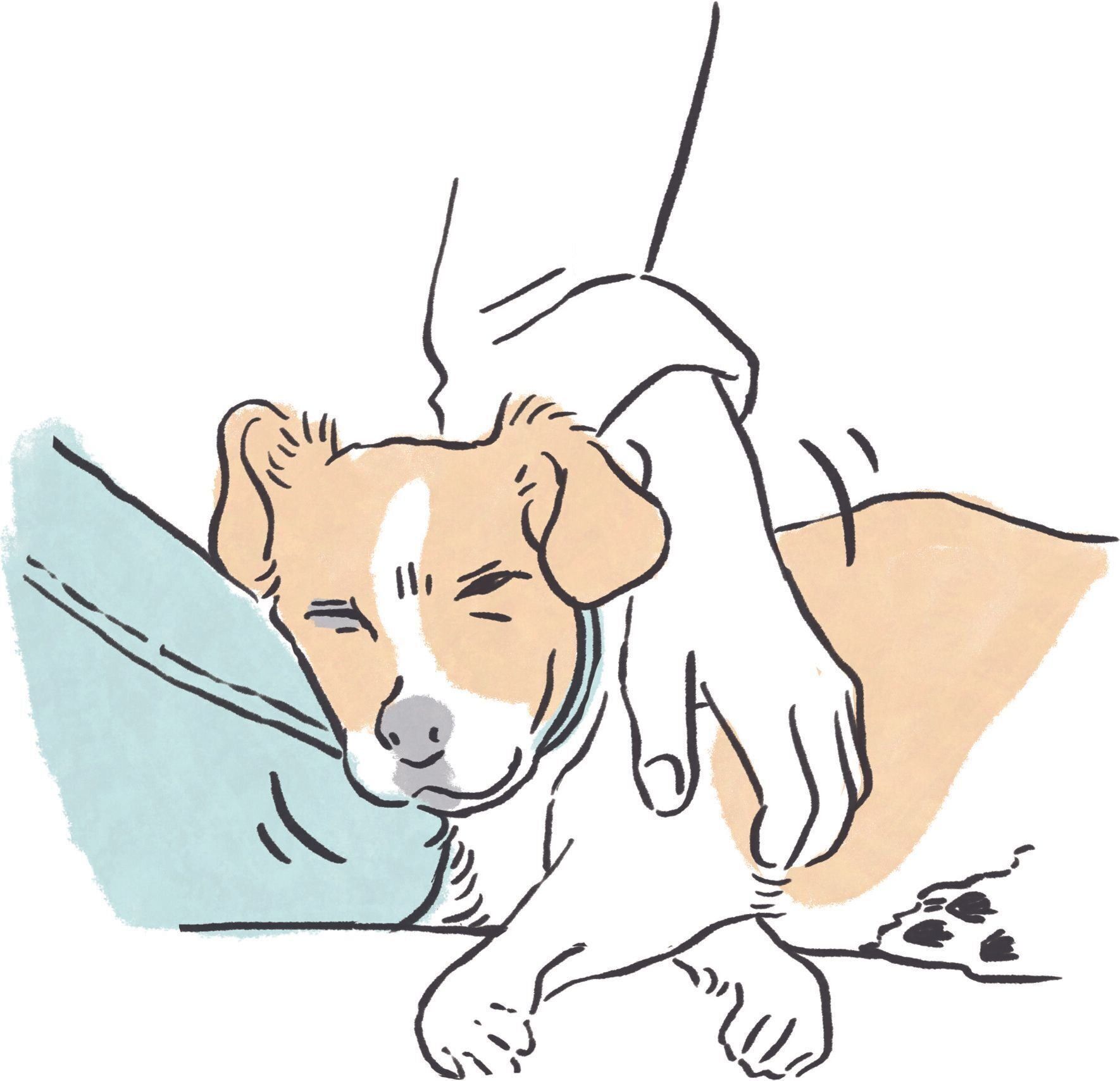 イラスト／naohiga