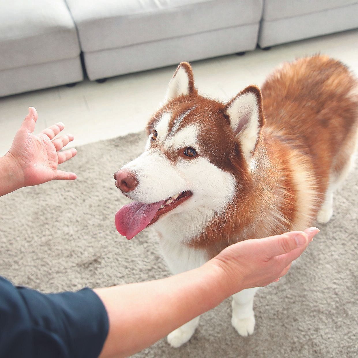 撮影／尾﨑たまき