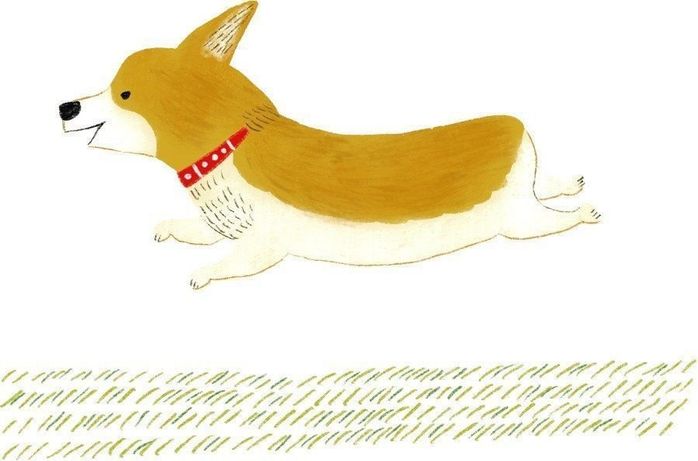 イラスト/macco
