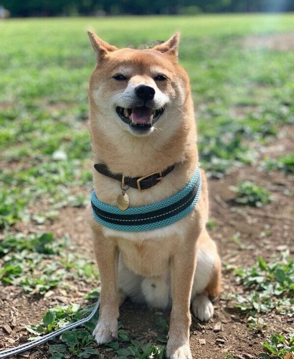 笑顔が可愛いカンナくん