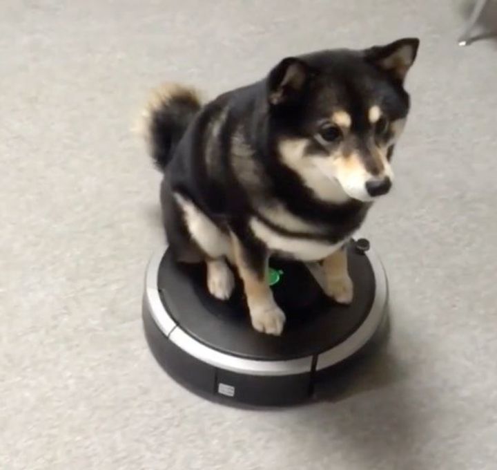 Bn6l2amx Fr6zm Bn6l2amx Fr6zm