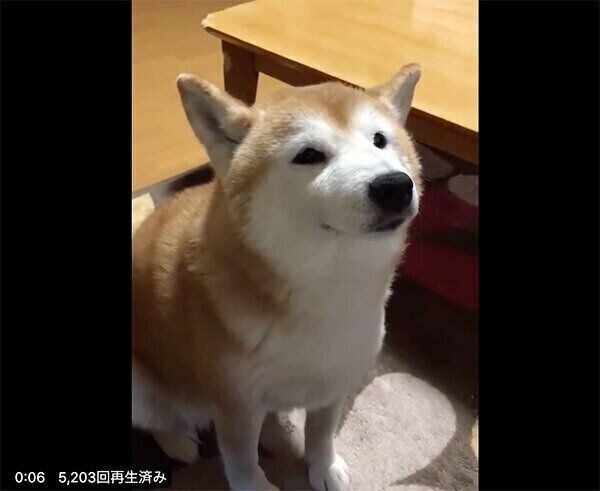 微笑むロペさん