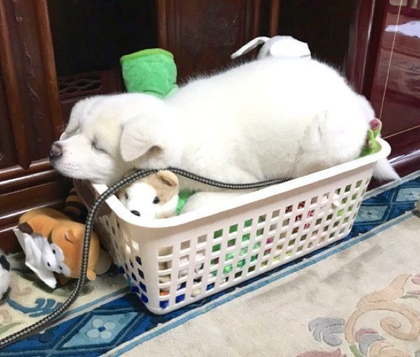 凹みを全身で表現する心ちゃん