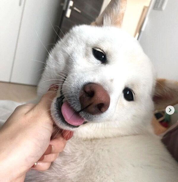 うっとりした表情をするむぎちゃん