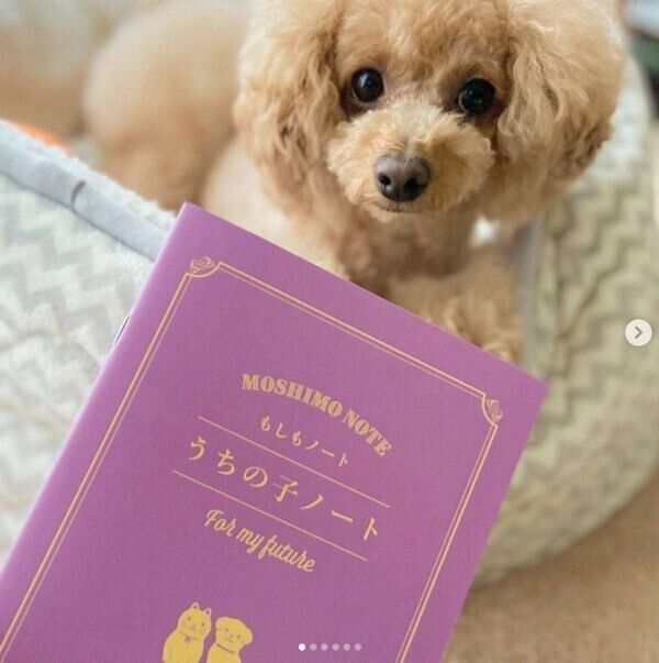 ダイソーの「もしもノート『うちの子ノート』」