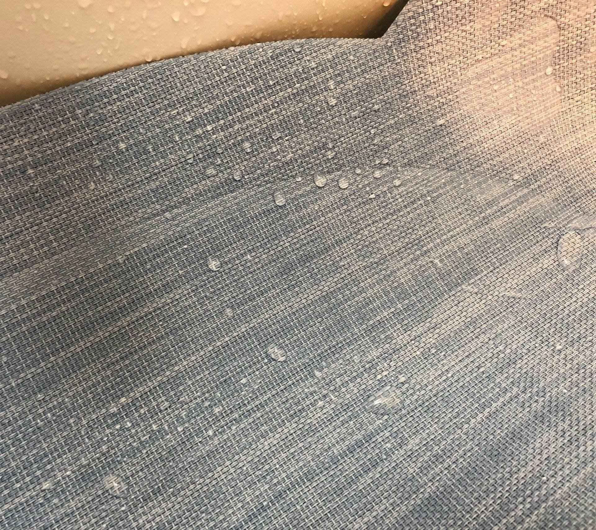 こんなに水をはじいた