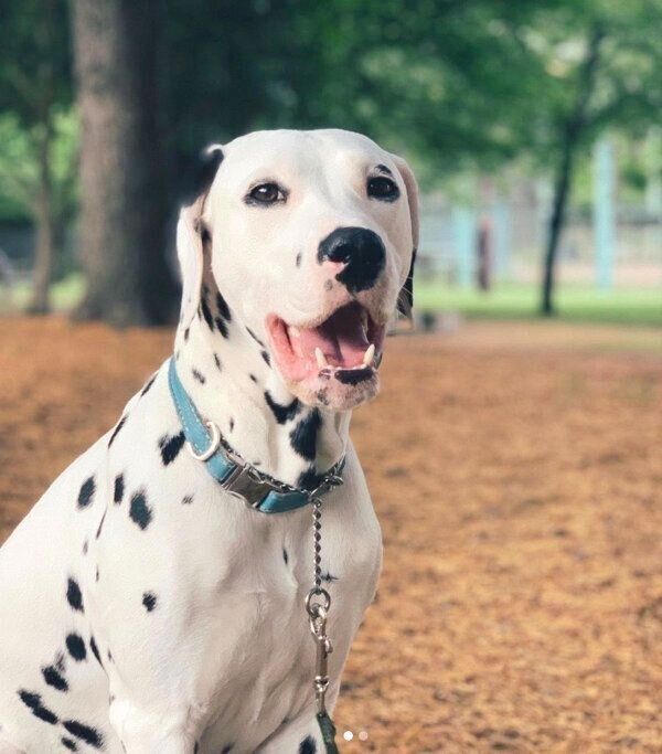 笑顔のリタちゃん