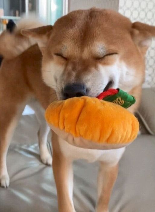 笑顔が可愛い雷吾くん