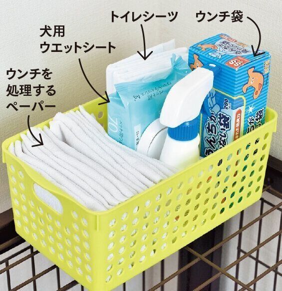 ハウスのそばに置いておこう