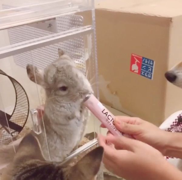 おやつタイムに全員大集合