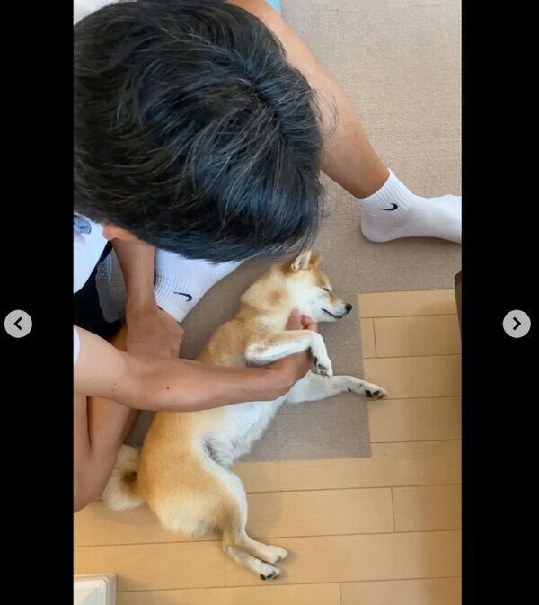 パパさんにナデナデしてもらうすずちゃん