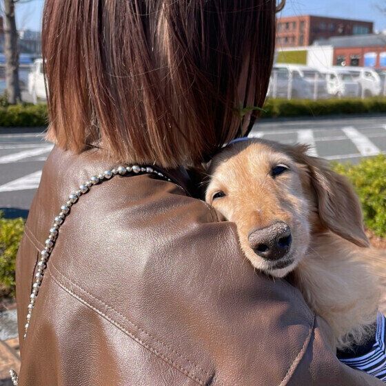 犬が目を細めて口角を上げているのは笑っているの？ 犬の表情や仕草を読み解くコツ いぬのきもち