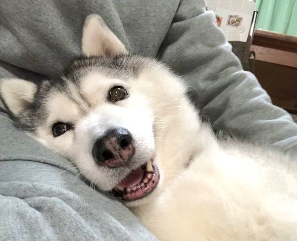 いいお顔をするシルビアちゃん