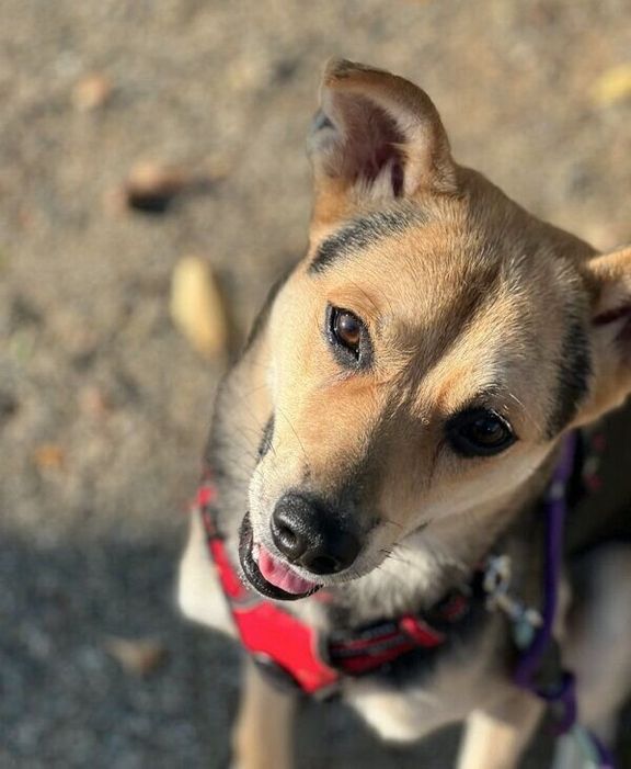 優しい表情をするこのちゃん