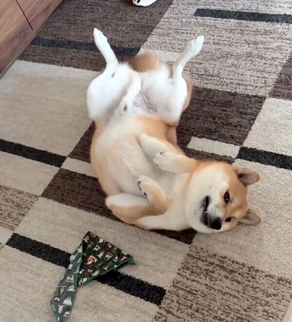 恥ずかしいところを見られてしまって固まるふう太くん