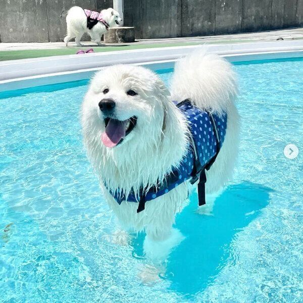 笑顔のソランくん