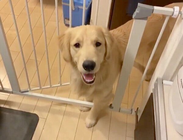 笑顔のまるくん