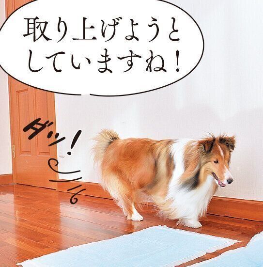 撮影／佐藤正之