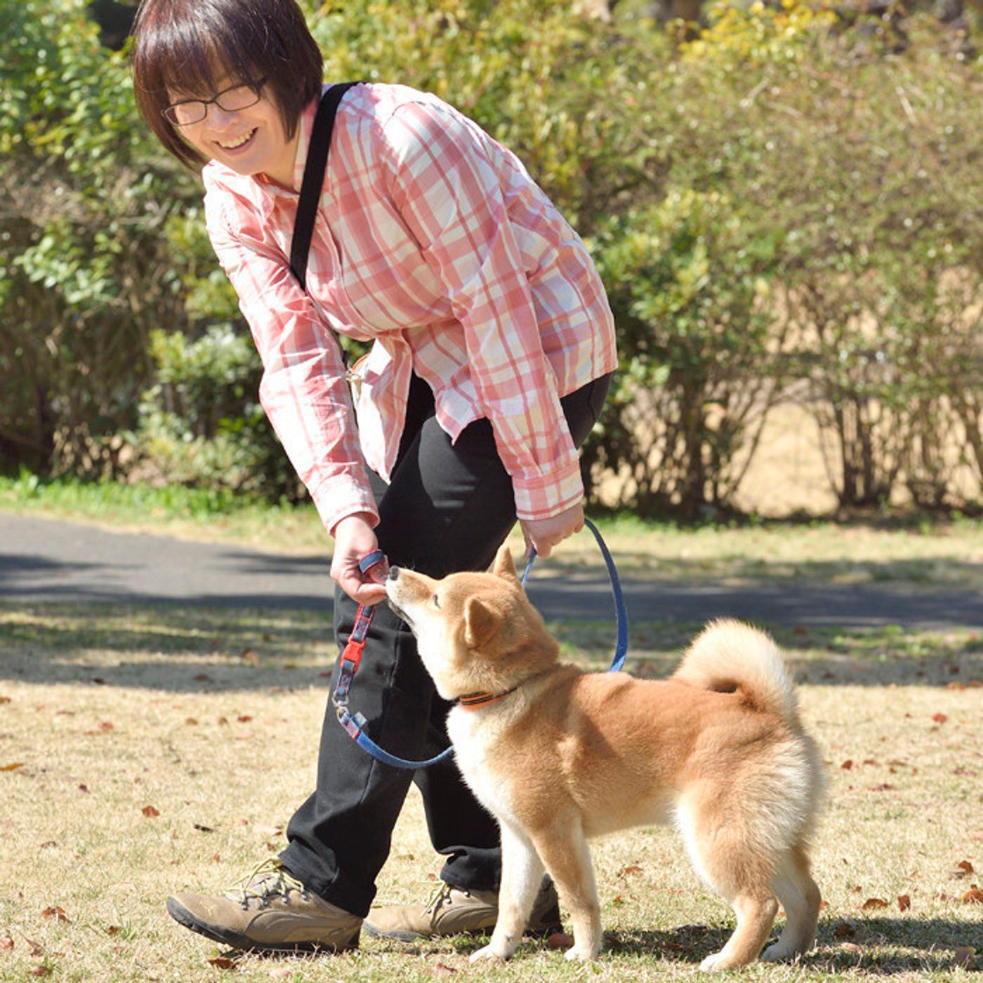 動画あり 犬も食べ歩きが好き わんちゃんがもっと散歩好きになる方法 いぬのきもちweb Magazine 動画あり 犬も食べ歩きが好き わんちゃんがもっと散歩好きになる方法 いぬのきもちweb Magazine