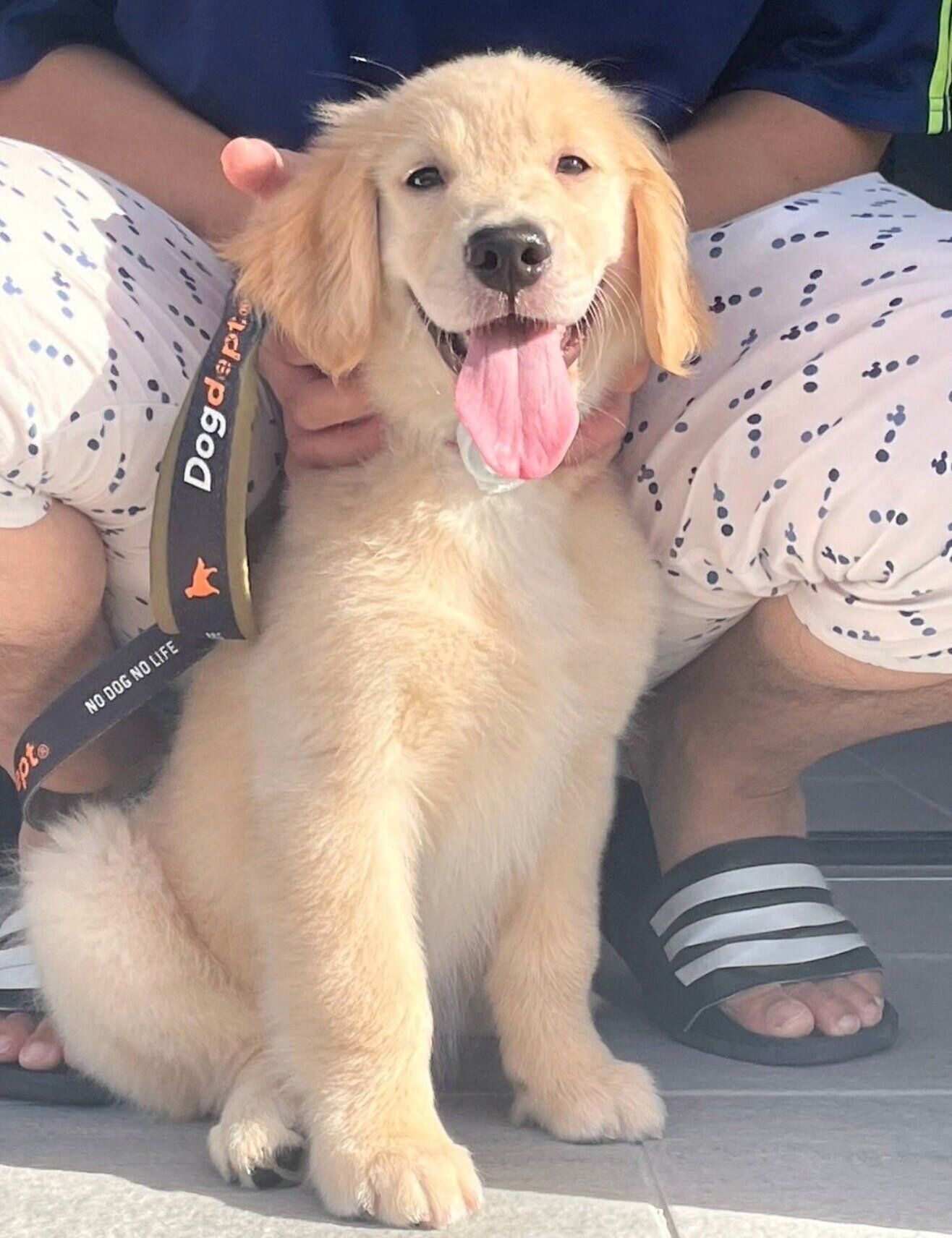 笑顔が可愛いロキちゃん