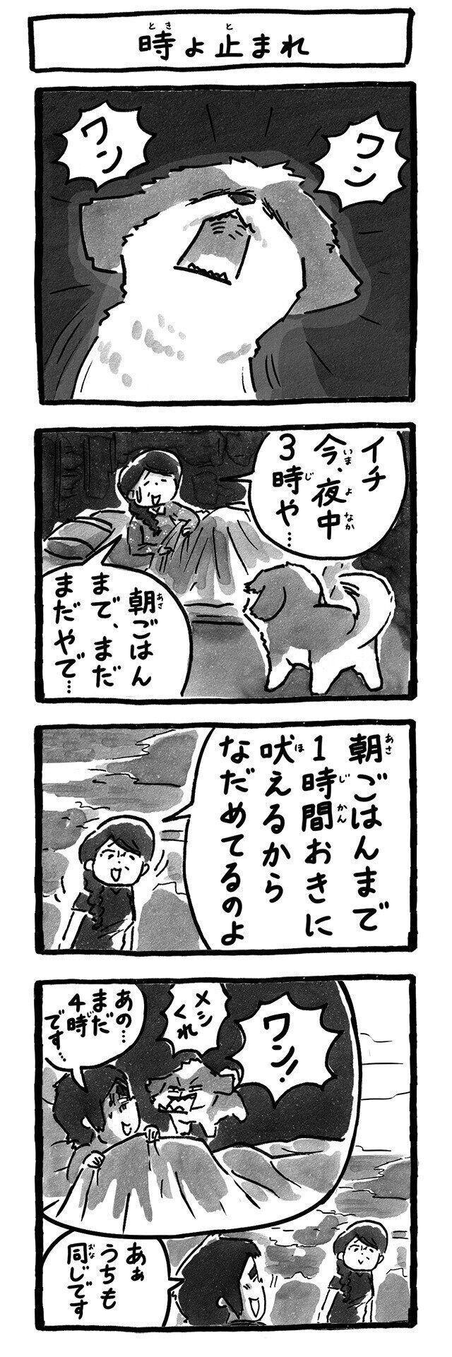 シーズー犬マンガてんぽshihtzu