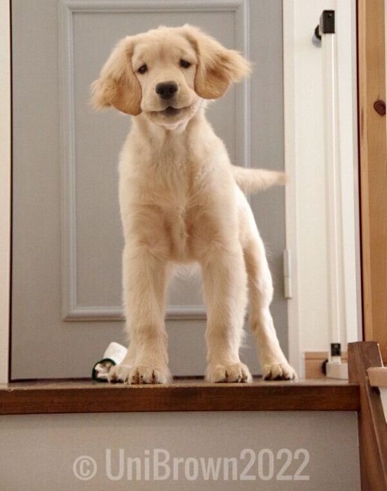 生後4カ月頃のうにちゃん