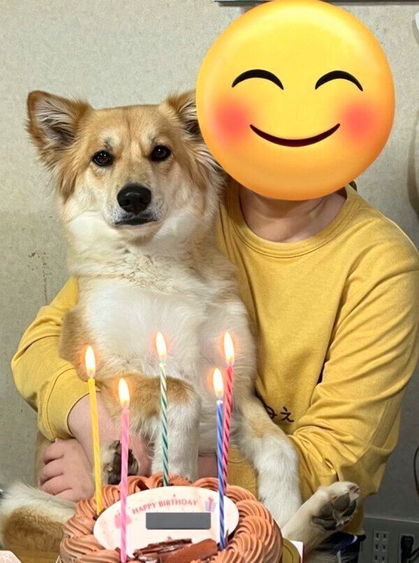 抱っこしてもらうチャロちゃん