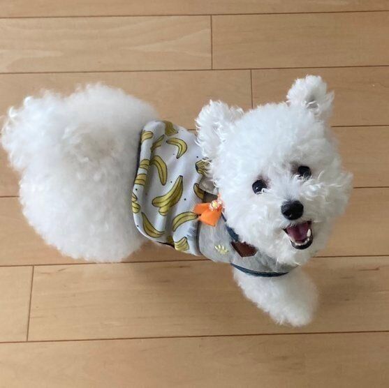 見上げるくるるくん